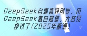 DeepSeek自媒体轻创业，用DeepSeek做自媒体，太容易挣钱了(2025年新课)-泱泱学习社