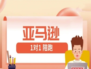 亚马逊1对1陪跑课(FBA/FBM精铺)跨境亚马逊教程-泱泱学习社