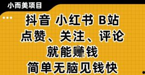 小而美的项目，抖音小红书B站视频点赞、关注、评论就能挣钱，简单无脑立见收益，妥妥的零撸项目【揭秘】-泱泱学习社