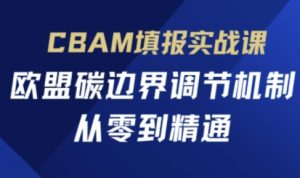 CBAM填报实战课，欧盟碳边界调节机制，从零到精通-泱泱学习社