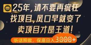 什么?25年你还在疯狂找项目做,醒醒吧,看完这些你全都懂了【揭秘】-泱泱学习社
