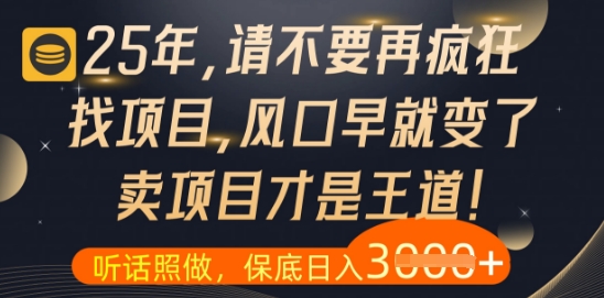 什么？25年你还在疯狂找项目做，醒醒吧，看完这些你全都懂了【揭秘】-泱泱学习社
