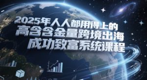 2025年人人都用得上的高含金量跨境出海成功致富系统课程-泱泱学习社