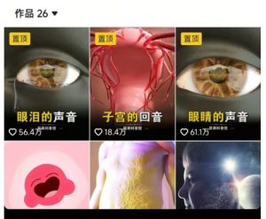 抖音坚果3D动画科普项目，撸视频号分成和抖音伙伴计划，适合零基础小白-泱泱学习社