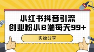 小红书抖音创业粉，小B端粉自热，日引99+的一个玩法【揭秘】-泱泱学习社