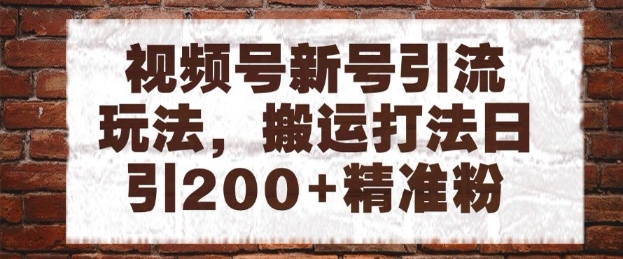 视频号新号引流玩法，搬运打法日引200+精准粉，可矩阵放大【揭秘】-泱泱学习社