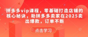 拼多多vip课程,零基础打造店铺的核心秘诀,助拼多多卖家在2025卖出爆款,订单不断-泱泱学习社
