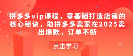 拼多多vip课程，零基础打造店铺的核心秘诀，助拼多多卖家在2025卖出爆款，订单不断-泱泱学习社
