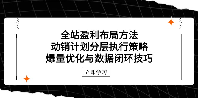 全站盈利布局方法：动销计划分层执行策略，爆量优化与数据闭环技巧-泱泱学习社