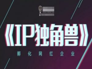IP独角兽,孵化网红企业,ip教程-泱泱学习社