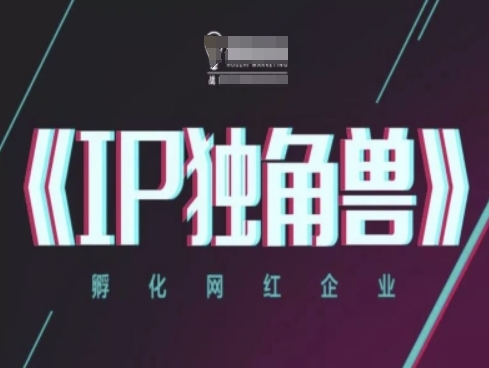 IP独角兽，孵化网红企业，ip教程-泱泱学习社