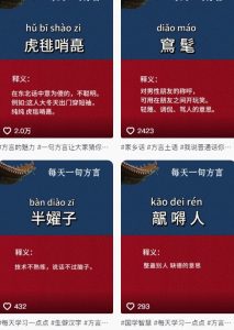 抖音最新涨粉玩法，图文方言暴力涨粉实操，126作品涨粉11W-泱泱学习社