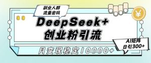 DeepSeek+创业粉精准引流,全新分享课4.0玩法,AI矩阵日引300+,多种变现方式,稳定月入1W-泱泱学习社