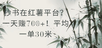 抄书在小红薯平台？平均一单30米，一天收益几张！-泱泱学习社