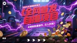 全网首发，2025年最新稳定暴力全自动自撸项目，无限制批量操作，日入多张【揭秘】-泱泱学习社