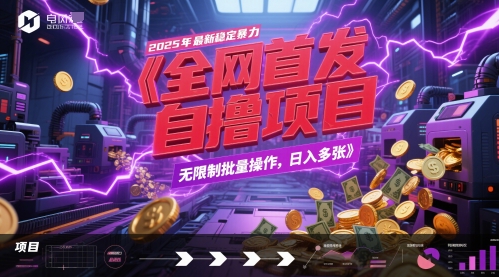 全网首发，2025年最新稳定暴力全自动自撸项目，无限制批量操作，日入多张【揭秘】-泱泱学习社