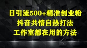 日引流500+精准创业粉，抖音共情自热打法，工作室都在用的方法-泱泱学习社