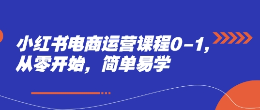 小红书电商运营课程0-1，从零开始，简单易学-泱泱学习社