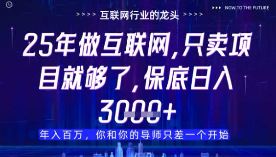 什么！25年你还在找项目做？风口早就变了，卖项目才是稳挣不赔【揭秘】-泱泱学习社