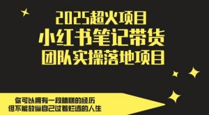 2025超火项目，副业最佳选择，小红书笔记带货团队实操落地项目，，轻松日入5张-泱泱学习社