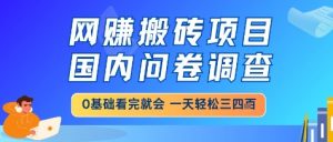 网创搬砖项目，国内问卷调查，小白轻松上手，一天三四张的也不难，干就完了【揭秘】-泱泱学习社