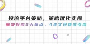 投流平台策略，策略优化实操，解决投流5大痛点，4步实现精准引流-泱泱学习社