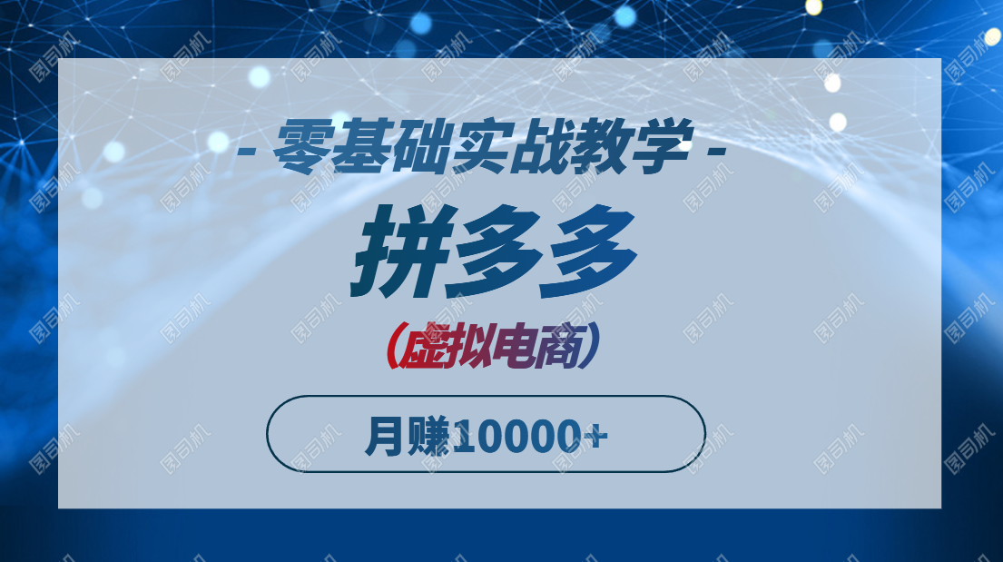 拼多多虚拟电商，零基础实战教学，快速打爆商品，新手也能月入10000+-泱泱学习社
