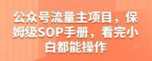 公众号流量主项目，保姆级SOP手册，看完小白都能操作-泱泱学习社