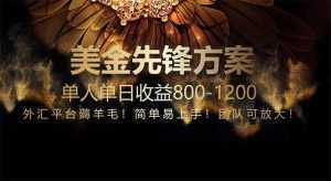 免费技术！小众赛道！一年布局抵三年努力，每日800+-泱泱学习社