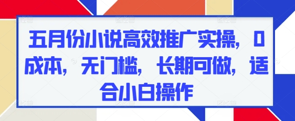 五月份小说高效推广实操，0成本，无门槛，长期可做，适合小白操作-泱泱学习社