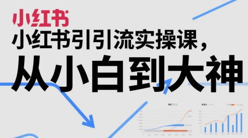 小红书引流实操课，从小白到大神-泱泱学习社