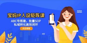 宝妈IP人设矩阵课：ABC号搭建，批量SOP，私域转化高效闭环-泱泱学习社