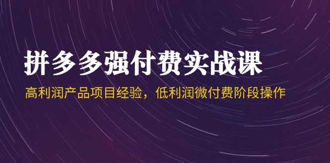 拼多多强付费实战课-44期，高利润产品项目经验，低利润微付费阶段操作-泱泱学习社