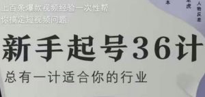 新手起号36计2.0，四年行业沉淀，上百条爆款视频经验一次性帮你搞定短视频问题-泱泱学习社
