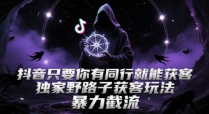 抖音只要你有同行就能获客，独家野路子获客玩法，暴力截流【揭秘】-泱泱学习社