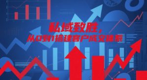 私域致胜，从0到1搭建客户成交体系-泱泱学习社