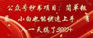 公众号抄书项目，简单粗暴，小白也能快速上手，有人一天搞了1k+-泱泱学习社
