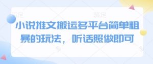 小说推文搬运多平台简单粗暴的玩法，听话照做即可-泱泱学习社