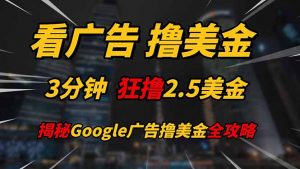 看广告，撸美金！！3分钟赚2.5美金！！日入200美金不是梦！揭秘Google...-泱泱学习社