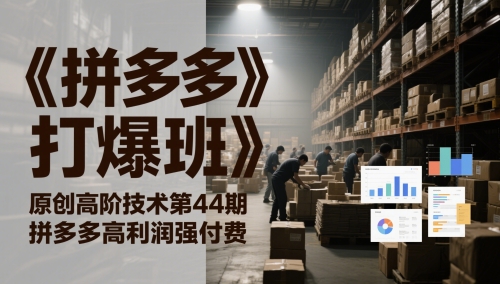 《拼多多打爆班》原创高阶技术第44期，拼多多高利润强付费-泱泱学习社