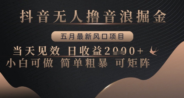 抖音无人撸音浪掘金，五月最新风口项目，当天见效，日收益多张，小白可做简单粗暴可矩阵【揭秘】-泱泱学习社