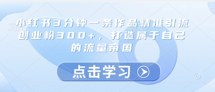 小红书3分钟一条作品精准引流创业粉300+，打造属于自己的流量帝国-泱泱学习社