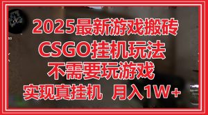 2025最新游戏搬砖，CSGO挂机，不需要玩游戏，实现真挂机，月入1W+-泱泱学习社