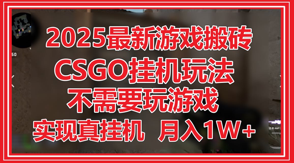 2025最新游戏搬砖，CSGO挂机，不需要玩游戏，实现真挂机，月入1W+-泱泱学习社
