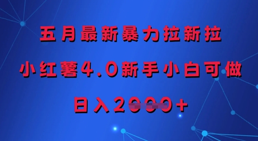 五月最新暴力拉新拉，小红薯4.0新手小白可做，日入多张-泱泱学习社