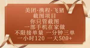 飞猪美团截图项目,你只管截图,一部手机在家做,正规平台无套路,一天5张+【揭秘】-泱泱学习社