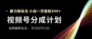 视频号分成计划，全网最暴力玩法，新手一天也能轻松5张+-泱泱学习社