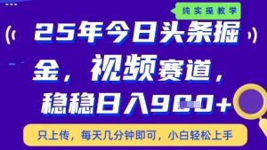 今日头条视频赛道最新玩法，每天十分钟，保底日入9张+【揭秘】-泱泱学习社