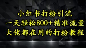 小红书打粉引流，一天轻松500+精准流量，大佬都在用的打粉教程-泱泱学习社