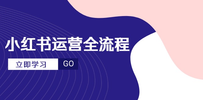 小红书运营全流程，爆款选题文案，视频制作技巧，进阶达人宝典-泱泱学习社